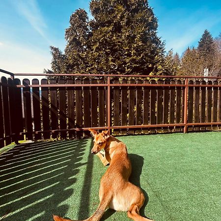Willa Karolinka Stroza - Pet Friendly Myślenice Eksteriør bilde